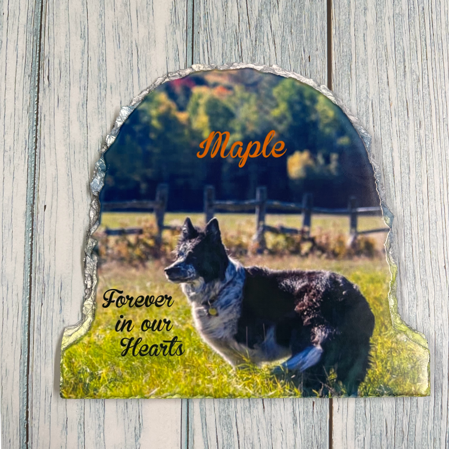 Photo Rock Slate - Semi-Circle